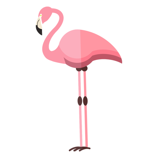 Flamingo perna bico rosa liso Desenho PNG