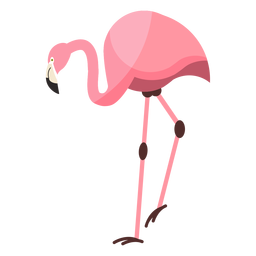 Flamingo pink beak leg flat PNG Design