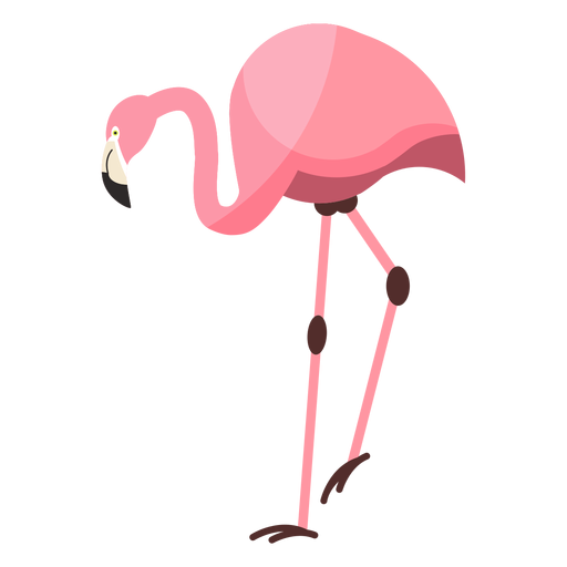 Flamingo rosa bico perna plana Desenho PNG