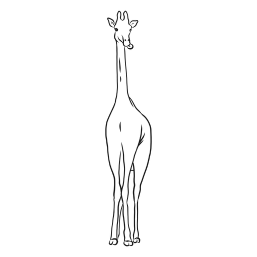 Giraffe neck tall long ossicones sketch PNG Design