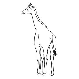 Giraffe Neck Tall Long Tail Ossicones Sketch PNG & SVG Design For T-Shirts