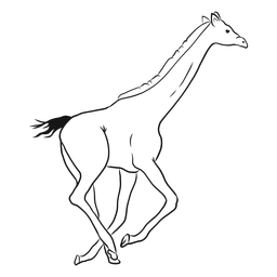 Desenho de ossicones com pescoço de girafa alto e cauda longa Desenho PNG