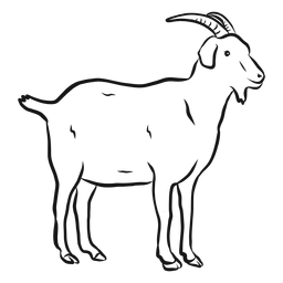 Goat Hoof Horn Tail Sketch PNG & SVG Design For T-Shirts