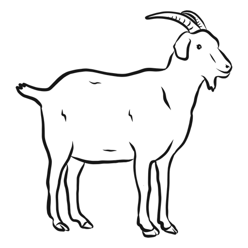 Boceto de cola de cuerno de pezuña de cabra Diseño PNG