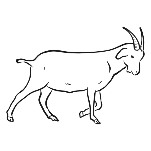 Goat horn hoof tail sketch PNG Design