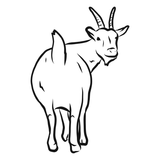 Goat horn tail hoof sketch PNG Design