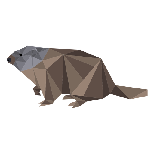 Ground hog marmot fur muzzle low poly PNG Design