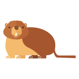 Ground hog marmot fur muzzle tail flat Transparent PNG