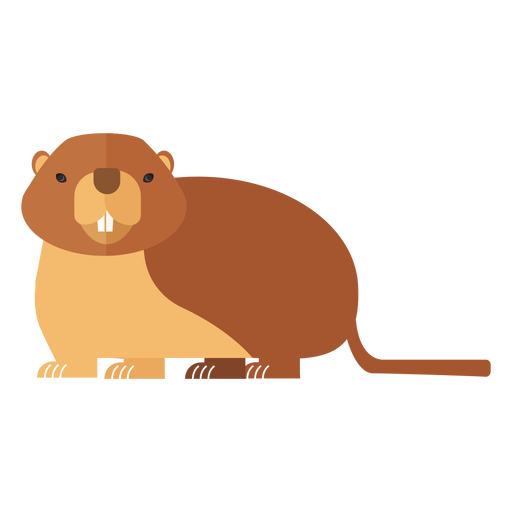 Ground hog marmot fur muzzle tail flat PNG Design