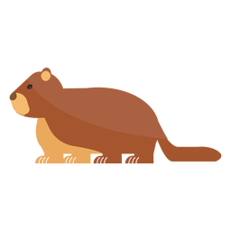 Focinho de marmota suína com cauda de pelo Desenho PNG