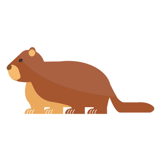 Focinho de marmota suína com cauda de pelo Desenho PNG
