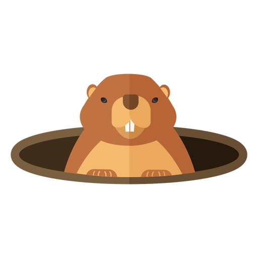 Ground hog marmot muzzle hole fur flat - Transparent PNG & SVG vector file