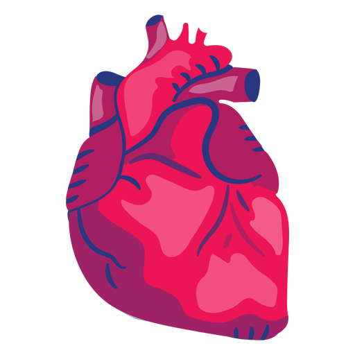 Heart organ flat PNG Design