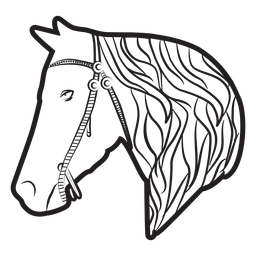 Horse mane bridle illustration Horse mane bridle illustration