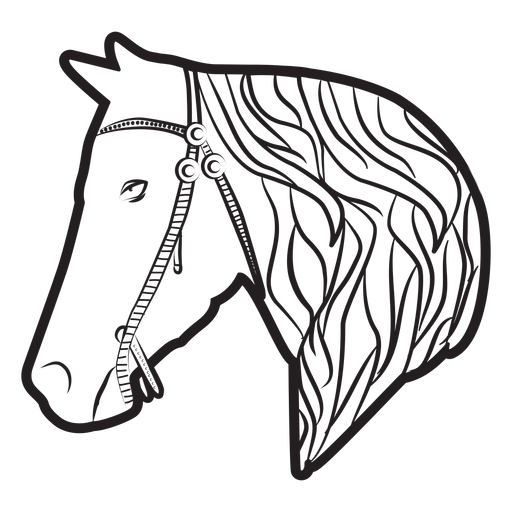 Horse mane bridle illustration