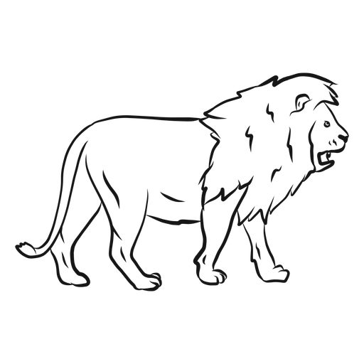Lion king mane tail sketch PNG Design
