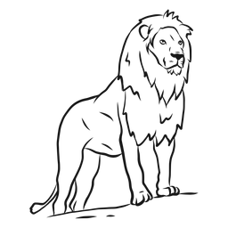 Lion mane king tail sketch PNG Design