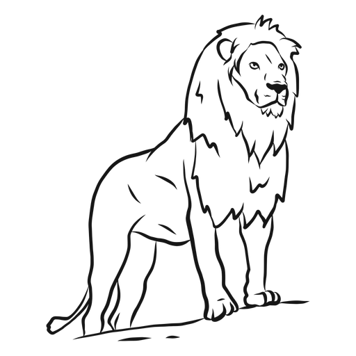 Lion mane king tail sketch PNG Design
