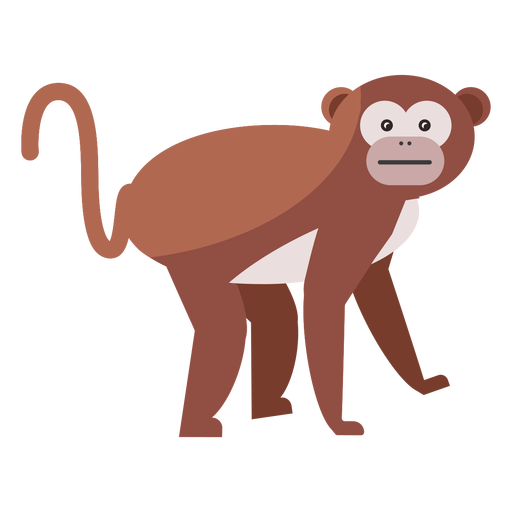 Focinho de macaco com cauda plana Desenho PNG