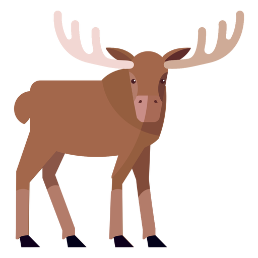 Moose elk antler flat PNG Design