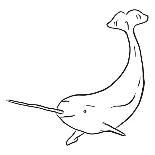 Dibujo de colmillo de cola de aleta de narval Diseño PNG