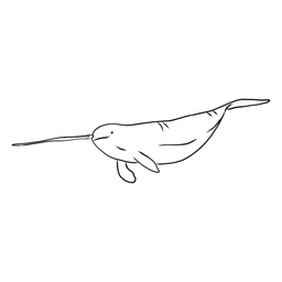 Narwhal flipper tusk tail sketch PNG Design