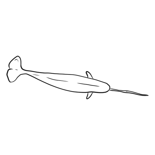 Narwhal tail tusk flipper sketch PNG Design