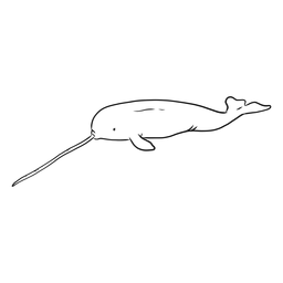 Narwhal tusk tail flipper sketch PNG Design