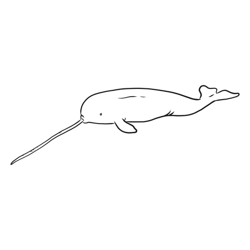 Narwhal tusk tail flipper sketch PNG Design
