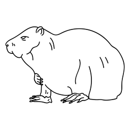 Traço de perna de lontra Desenho PNG