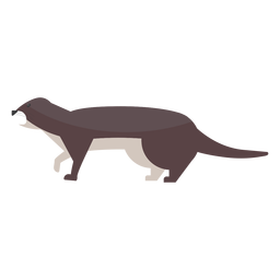 Otter muzzle tail fat flat PNG Design Transparent PNG