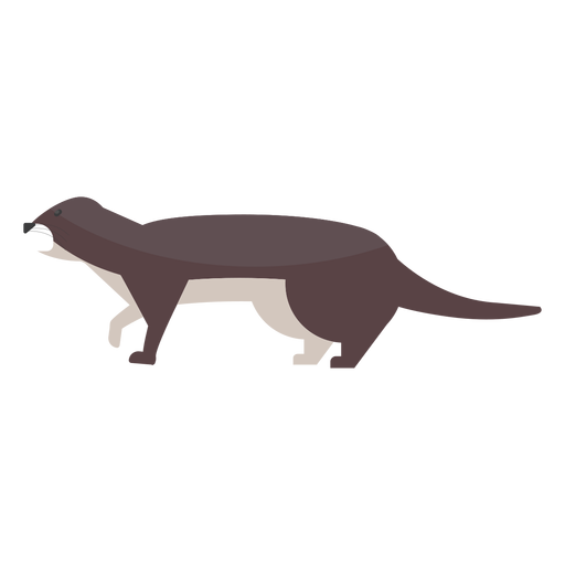 Focinho de lontra cauda achatada Desenho PNG