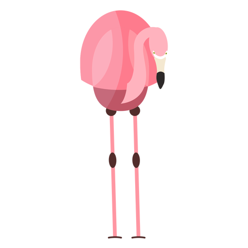 Bico de bico de flamingo rosa liso Desenho PNG