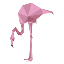 Pierna rosa flamingo pico baja poli Diseño PNG