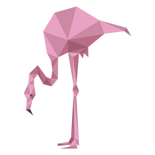 Pierna rosa flamingo pico baja poli Diseño PNG
