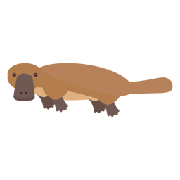 Platypus Duckbill Tail Beak Flat PNG & SVG Design For T-Shirts