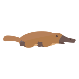 Platypus Tail Duckbill Beak Flat PNG & SVG Design For T-Shirts