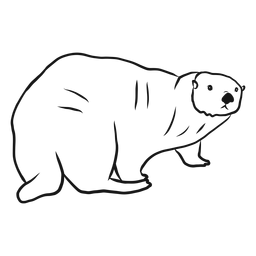 Desenho de focinho de lontra marinha Desenho PNG