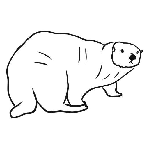 Download Sea Otter Muzzle Fat Tail Sketch Transparent Png Svg Vector File