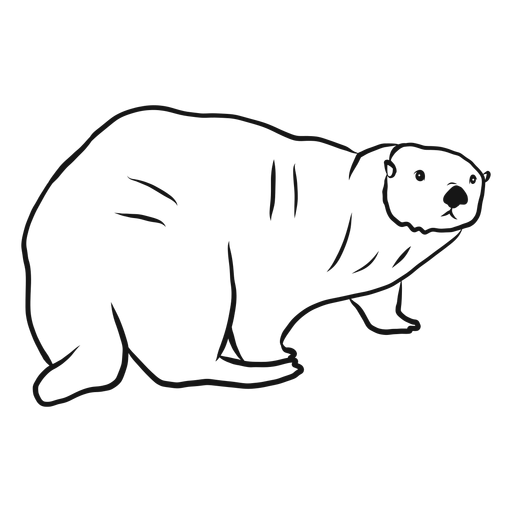 Sea otter muzzle fat tail sketch PNG Design