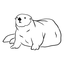 Esboço da gordura do focinho da lontra marinha Desenho PNG
