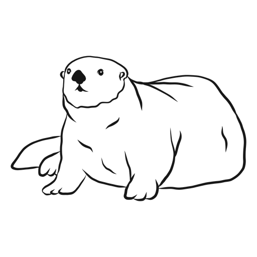 Sea otter muzzle tail fat sketch PNG Design