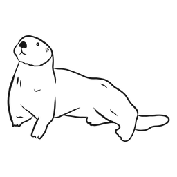 Desenho de cauda de focinho de lontra marinha Transparent PNG