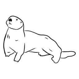 Sea otter muzzle tail sketch PNG Design