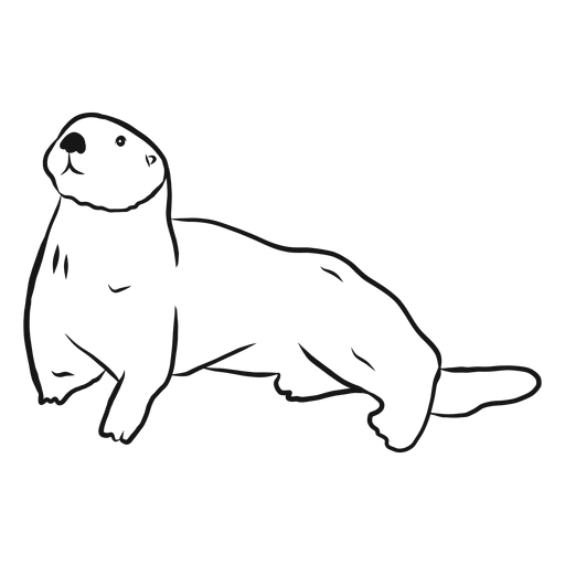 Download Sea Otter Muzzle Tail Sketch Transparent Png Svg Vector File