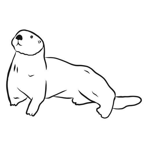 Sea otter muzzle tail sketch PNG Design