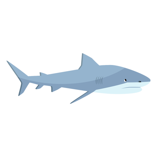 Shark fin tail flat PNG Design