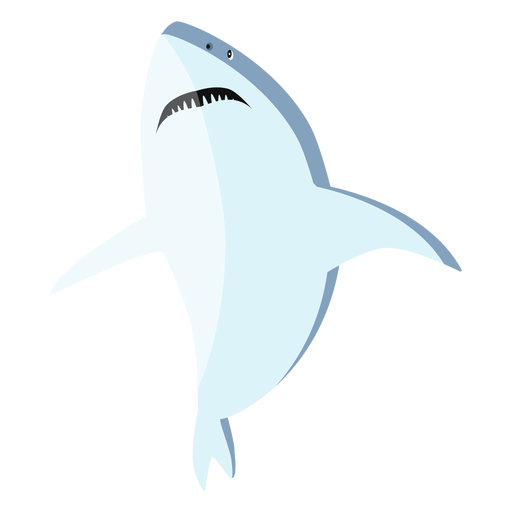 Dente de cauda de barbatana de tubarão achatado Desenho PNG