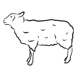 Schafhufwolle Lammskizze PNG-Design