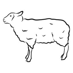 Sheep hoof wool lamb sketch PNG Design Transparent PNG